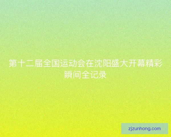 第十二届全国运动会在沈阳盛大开幕精彩瞬间全记录